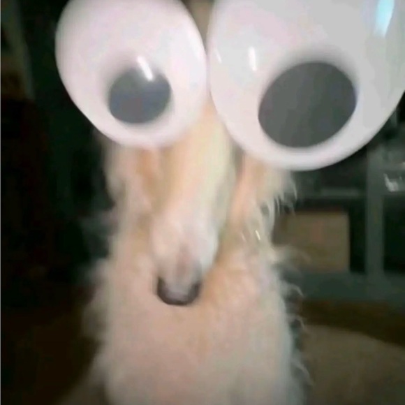 feefyfoefum